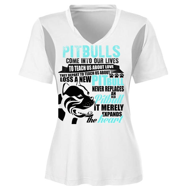 Pit Bulls Come Into Our Lives T Shirt, Loss A New Pit Bull T Shirt, Cool Shirt (Ladies LS Heather V-Neck)