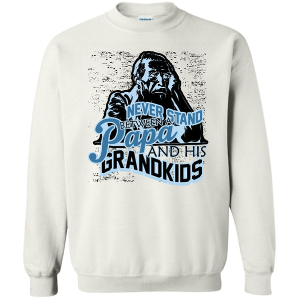 Gift For Papa T Shirt, Never Stand Between Sweatshirt