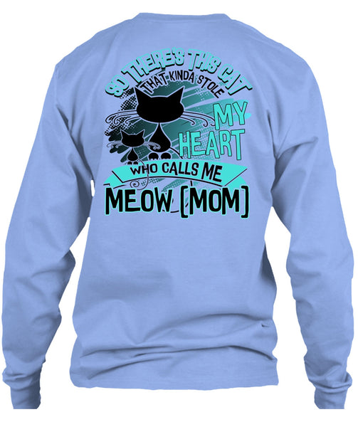 This Cat That Kinda Stole My Heart T Shirt, I Love Cat T Shirt