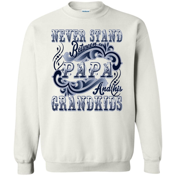 Coolest Papa T Shirt, Never Stand Between Sweatshirt