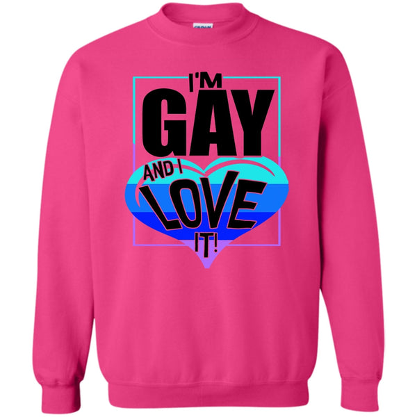 Gift For Gay T Shirt, I'm Gay And I Love It Sweatshirt