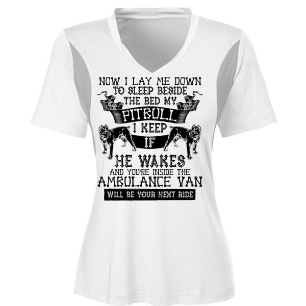 Sleep Beside The Bed My Pit Bull T Shirt, I Love My Dog T Shirt, Awesome T-Shirts