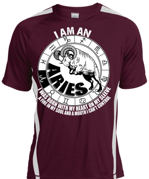 I Am An Aries T Shirt, Fire In My Soul T Shirt, Cool Shirt