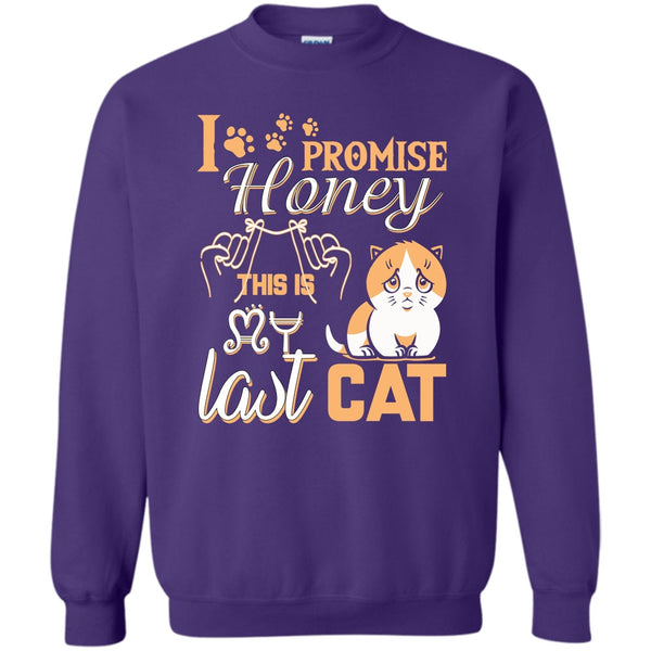 This Is My Last Cat T Shirt, Coolest Cat Lover Sweatshirt
