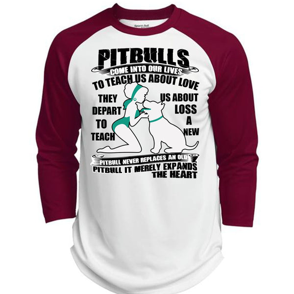 Pit Bulls Come Into Our Lives T Shirt, I Love Pit Bull T Shirt, Awesome T-Shirts  (Polyester Game Baseball Jersey)