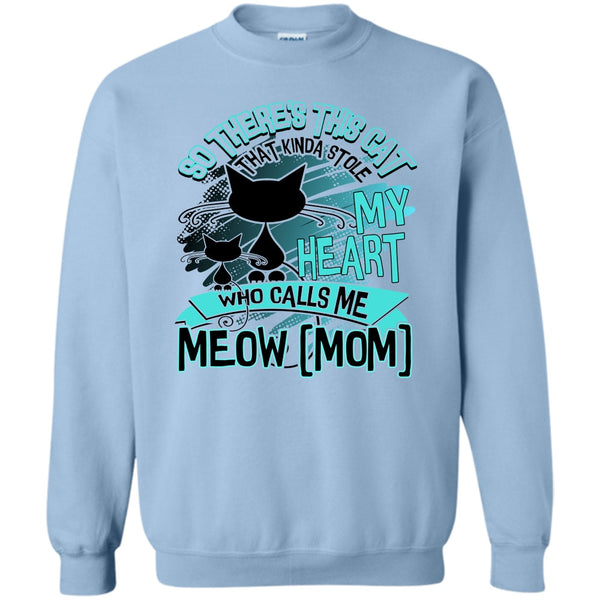 Coolest Cat Lady T Shirt, Never Underestimate Sweatshirt
