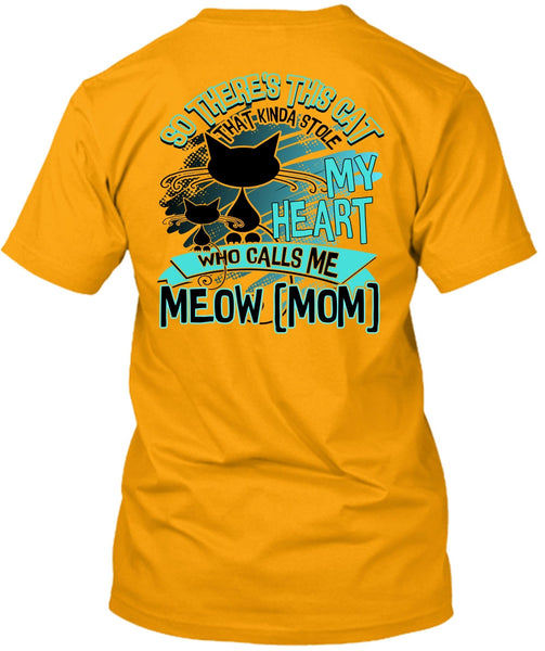 This Cat That Kinda Stole My Heart T Shirt, I Love Cat T Shirt