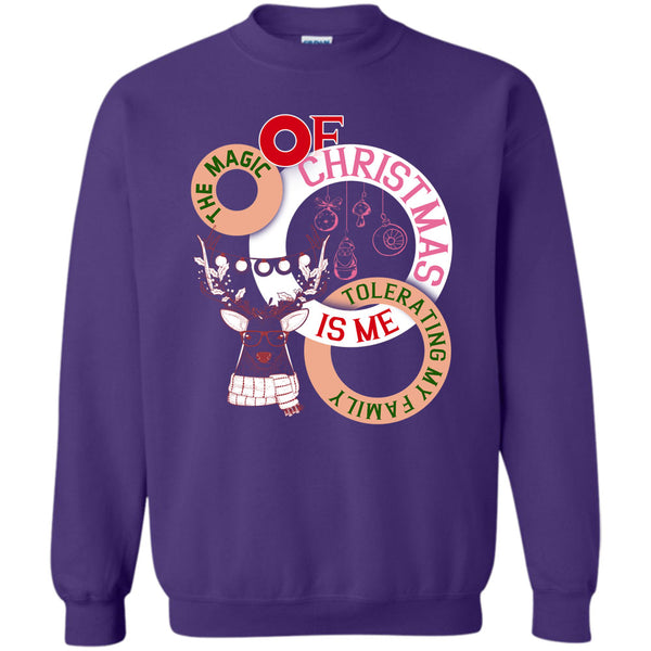 Tolerating My Family T Shirt, Coolest Merry Christmas Sweatshirt