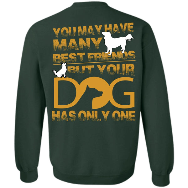 You May Have Many Best Friend T Shirt, I Love My Dog Sweatshirt