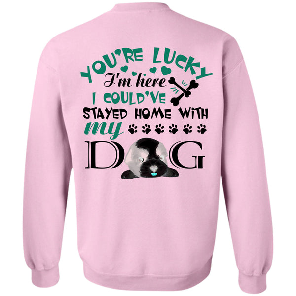 My Love T Shirt, I Could've Stayed Home With My Dog Sweatshirt