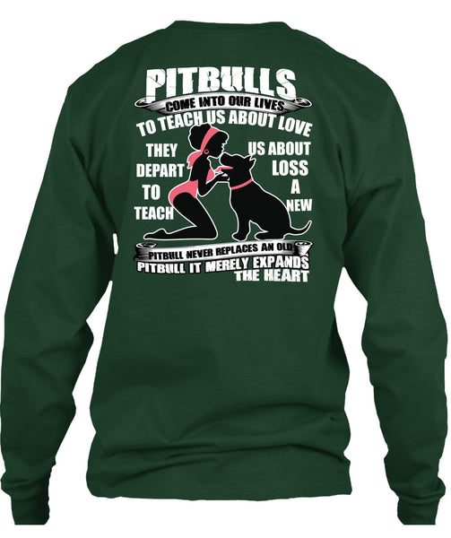 Pit Bulls Come Into Our Lives T Shirt, My Favorite T Shirt