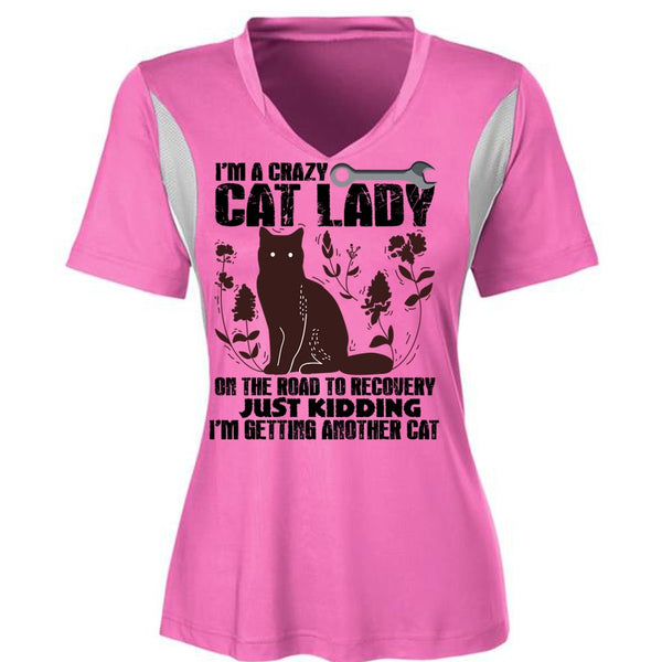 I'm A Crazy Cat Lady On The Road T Shirt, I Love My Cat T Shirt, Awesome T-Shirts