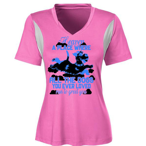 Heaven A Place Where All The Dogs T Shirt, I Love My Dog T Shirt, Awesome T-Shirts