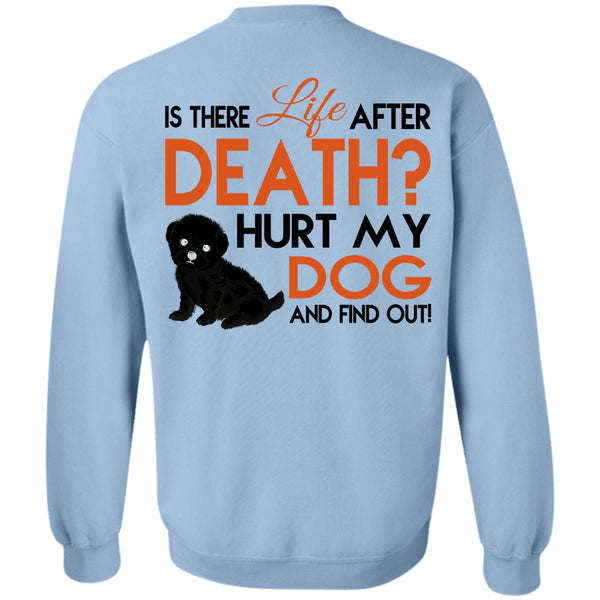 Favorite T Shirt, Hurt My Dog And Find Out Sweatshirt