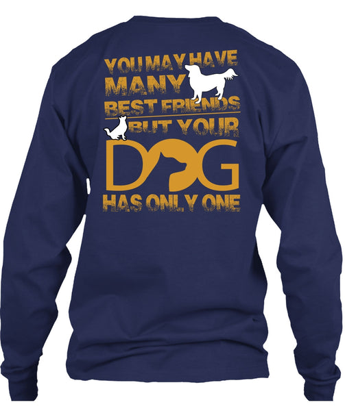 Your Dog Has Only One T Shirt, You May Have Many Best Friend T Shirt