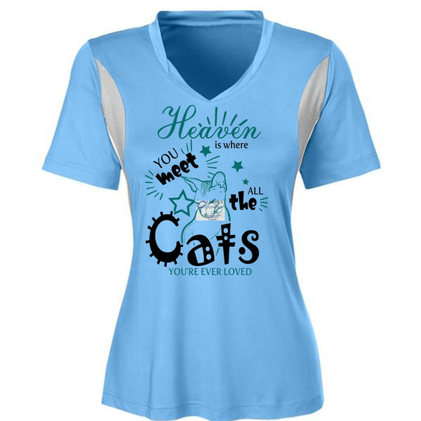 Heaven Is Where You Meet All The Cats T Shirt, I Love My Cat T Shirt, Awesome T-Shirts