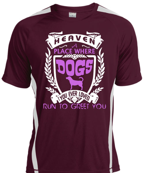 Heaven A Place Where Dogs T Shirt, You Ever Loved Run To Greet You T Shirt