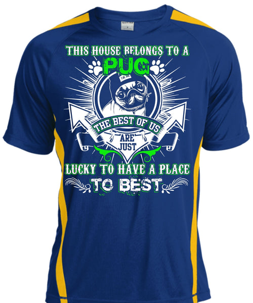 This House Belongs To A Pug T Shirt, Lucky To Have A Place T Shirt, Cool Shirt