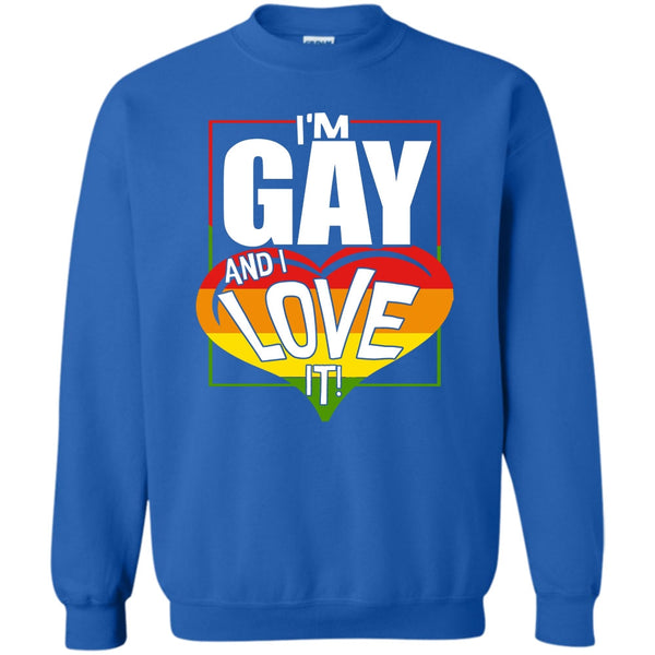 Coolest Gay T Shirt, Gift For Gay Sweatshirt