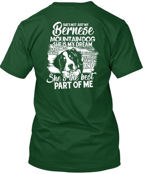 My Bernese Mountain Dog T Shirt, She Is My Dream T Shirt