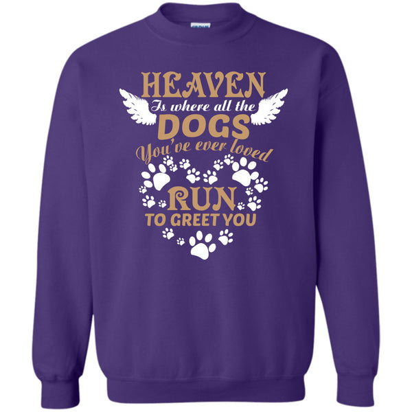 Run To Greet You T Shirt, I Love My Dog Sweatshirt