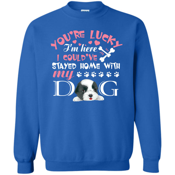 I Could've Stayed Home With My Dog T Shirt, I'm A Dog Lover Sweatshirt