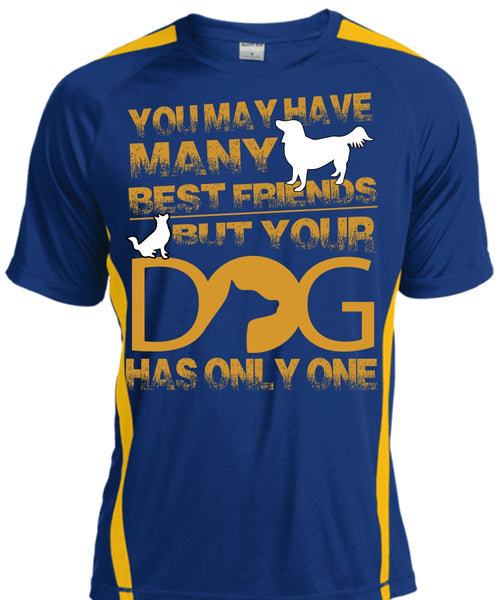 Your Dog Has Only One T Shirt, You May Have Many Best Friend T Shirt, Cool Shirt