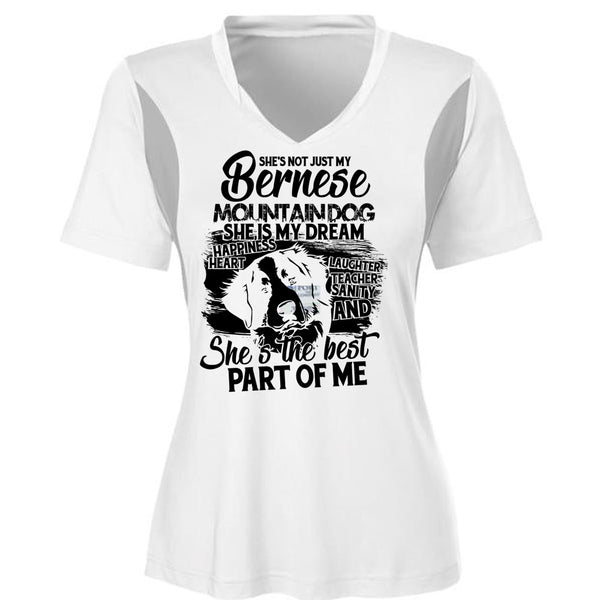 My Bernese Mountain Dog T Shirt, I Love Hiking T Shirt, Awesome T-Shirts