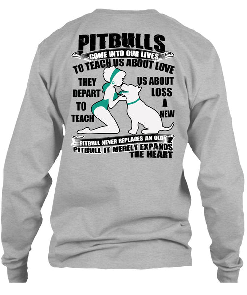 Pit Bulls Come Into Our Lives T Shirt, I Love Pit Bull T Shirt