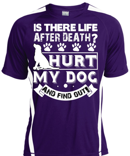 Hurt My Dog And Find Out T Shirt, Is There Life After Death T Shirt, Cool Shirt