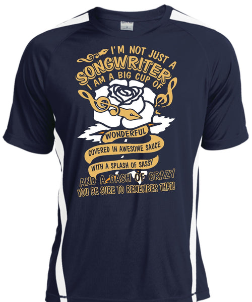 I'm Not Just A Songwriter T Shirt, Being A Writer T Shirt, Cool Shirt