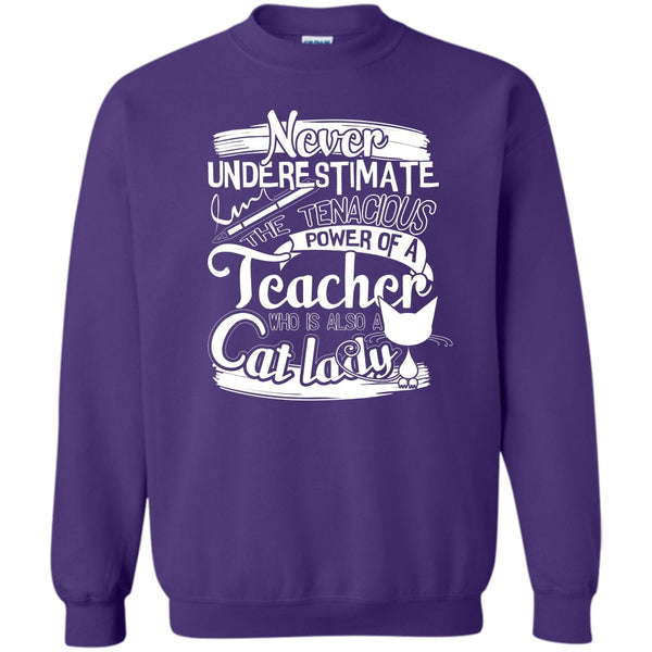 Power Of A Teacher T Shirt, Who Is Also A Cat Lady Sweatshirt