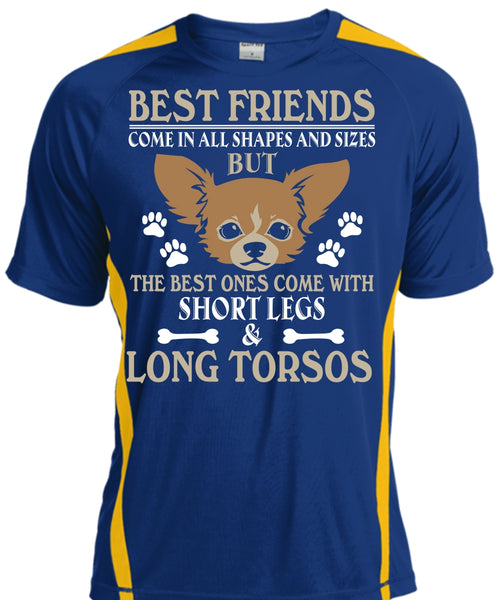 Best Friends Come In All Shapes And Sizes T Shirt, My Dog T Shirt
