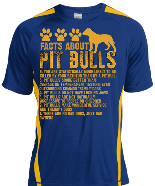 Facts About Pit Bulls T Shirt, There Are No Bad Dogs T Shirt, Cool Shirt