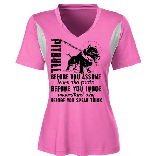 Pit Bull Before You Assume T Shirt, I Love Pit Bull T Shirt, Awesome T-Shirts