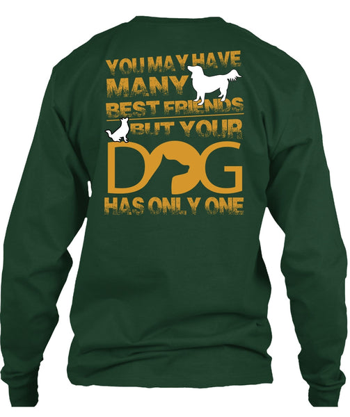Your Dog Has Only One T Shirt, You May Have Many Best Friend T Shirt
