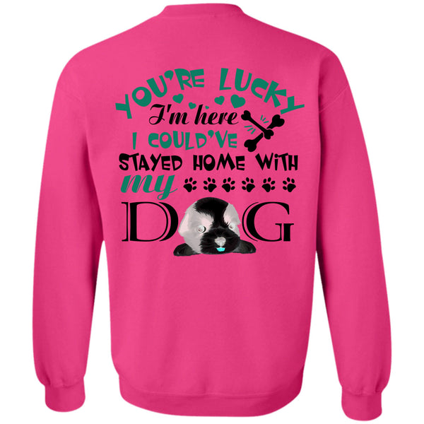 My Love T Shirt, I Could've Stayed Home With My Dog Sweatshirt
