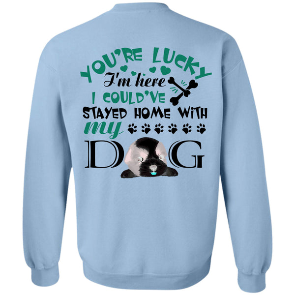 My Love T Shirt, I Could've Stayed Home With My Dog Sweatshirt