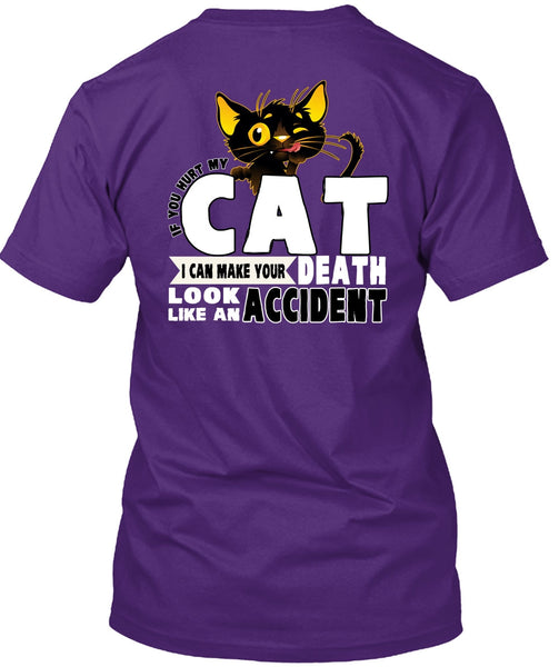 You Hurt My Cat T Shirt, Like An Accident T Shirt