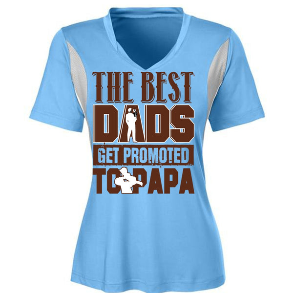 The Best Dads Get Promoted To Papa T Shirt, I Love Dad T Shirt, Awesome T-Shirts