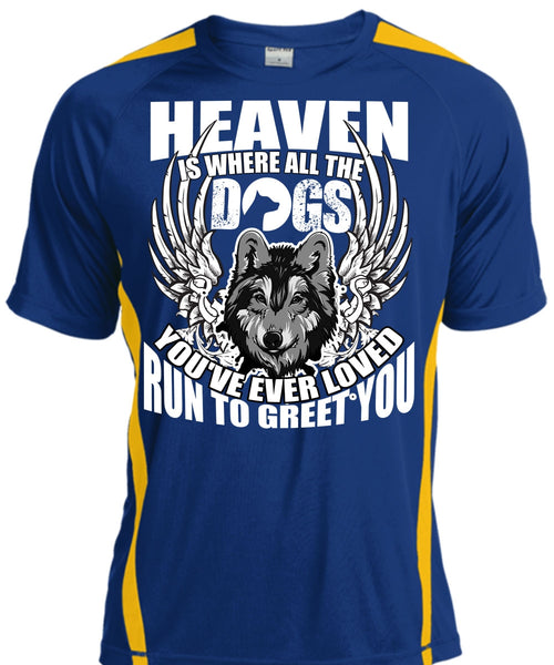 Heaven Is Where All The Dogs T Shirt, Run To Greet You T Shirt, Cool Shirt