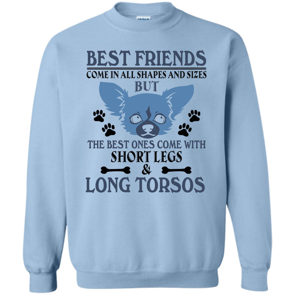 Coolest Dog T Shirt, Best Friends Come In All Shapes And Size Sweatshirt
