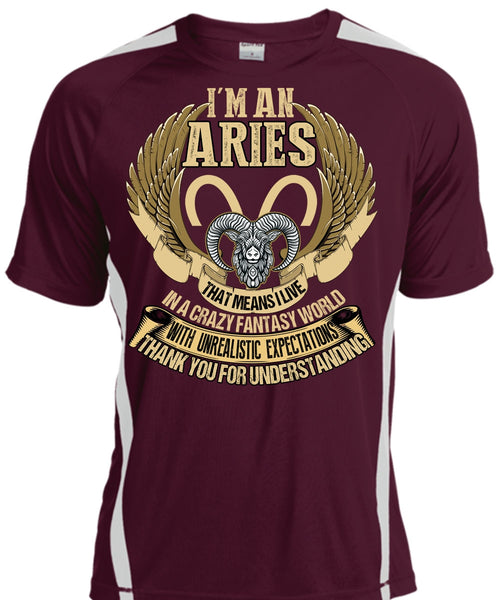 I'm An Aries T Shirt, Thank You For Understanding T Shirt, Cool Shirt
