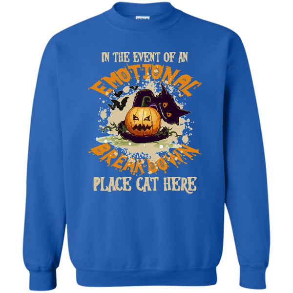 Place Cat Here T Shirt, Coolest Cat Ever Sweatshirt