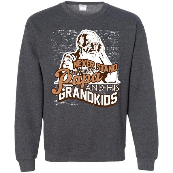 A Papa And A His Grandkids T Shirt, Gift For Papa Sweatshirt