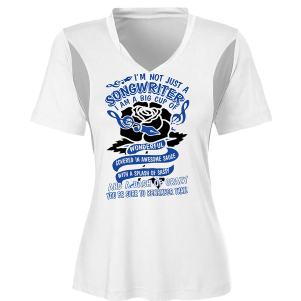 I'm Not Just A Songwriter T Shirt, I Love Writing T Shirt, Awesome T-Shirts