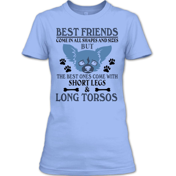 Best Friends Come In All Shapes And Size T Shirt, Coolest Dog T Shirt