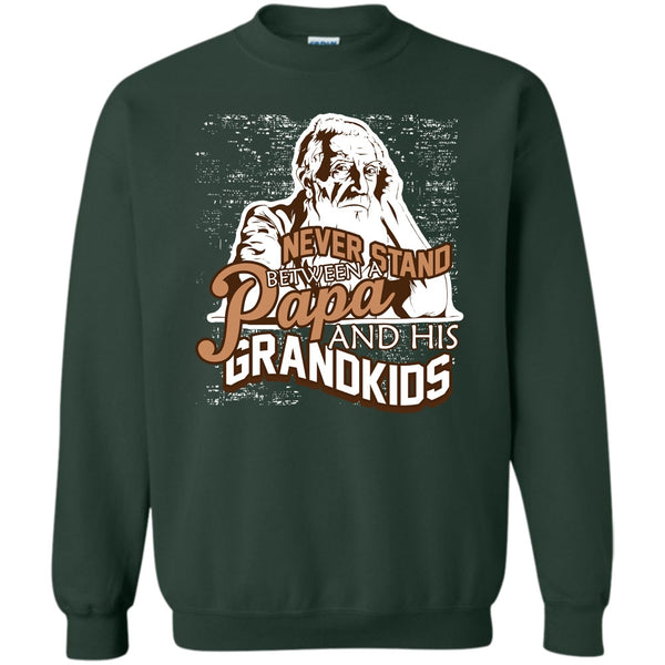 A Papa And A His Grandkids T Shirt, Gift For Papa Sweatshirt