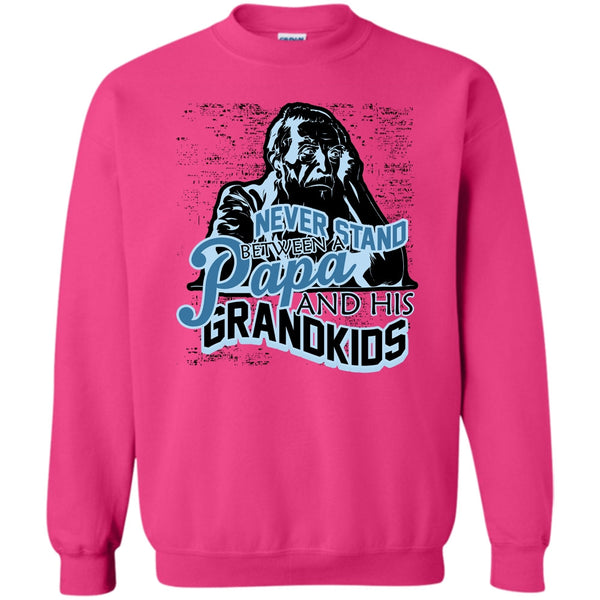 Gift For Papa T Shirt, Never Stand Between Sweatshirt