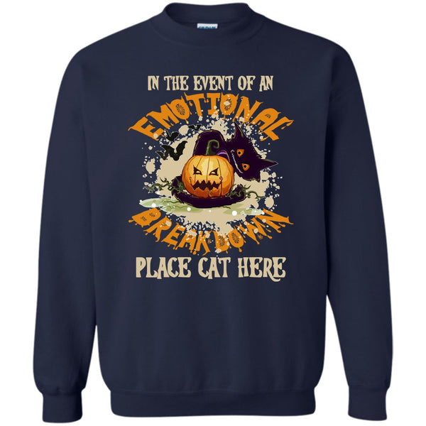 Place Cat Here T Shirt, Coolest Cat Ever Sweatshirt